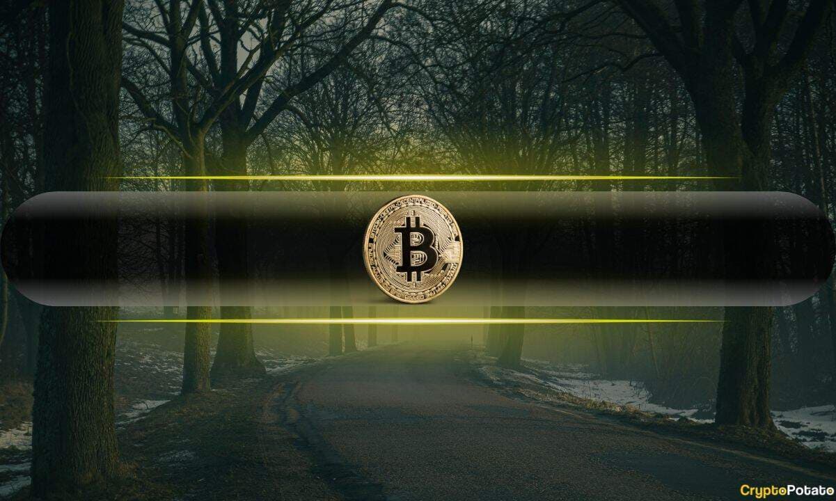 Bitcoin Profit Supply Drops to 59%, Closing In on Bear Market Levels