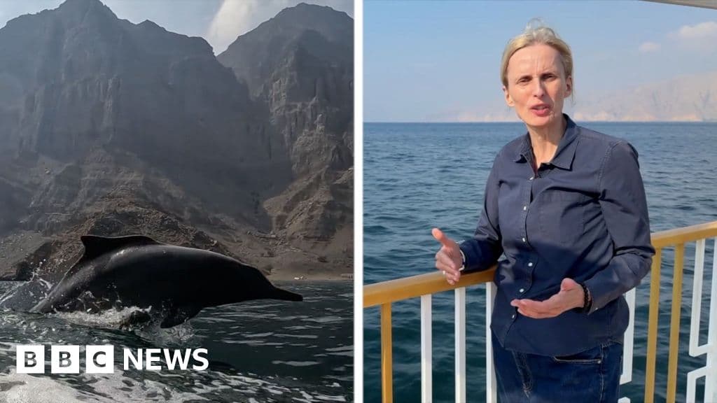 'We are at the edge of a battlefield': BBC reports near Strait of Hormuz