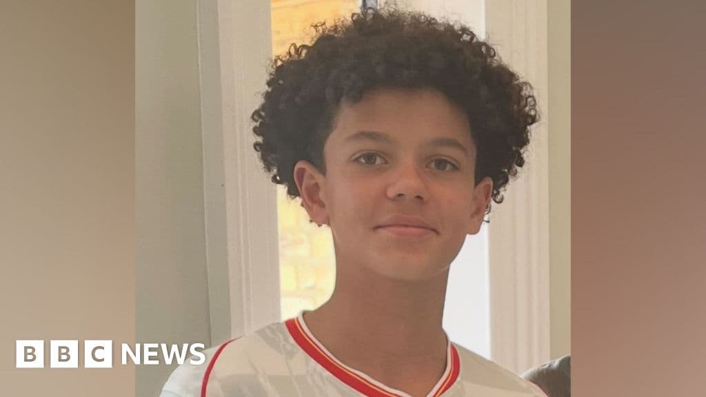 Family 'utterly devastated' after boy, 13, killed in crash as two charged