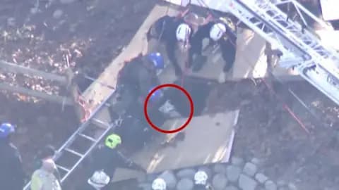 A dog is seen being rescued from firefighters after falling into a hole.