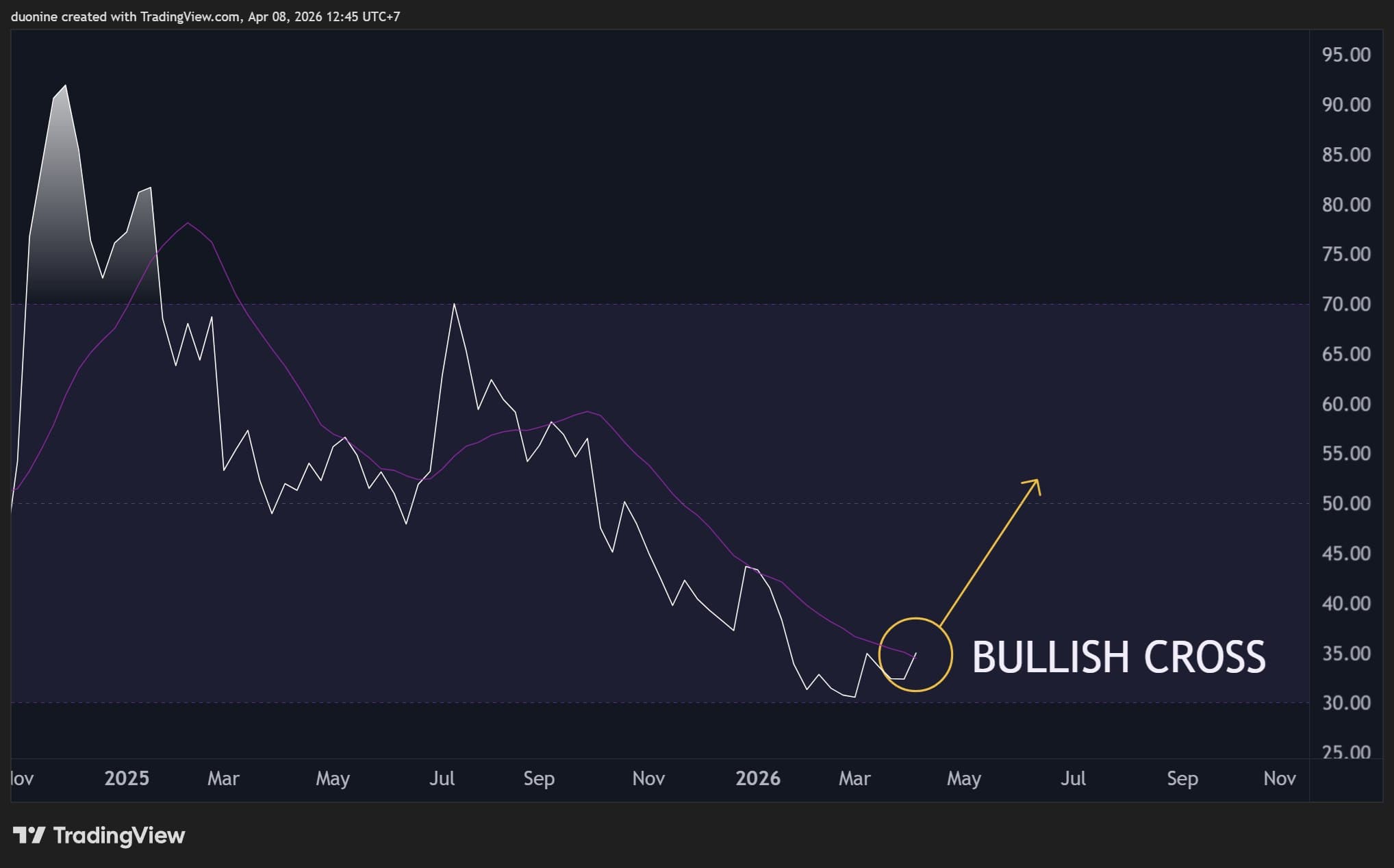 xrp_rsi_chart_0804261