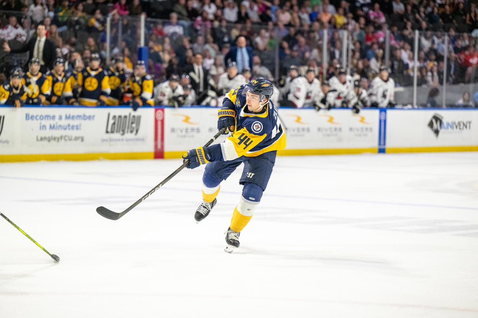 Photo Credit: Norfolk Admirals