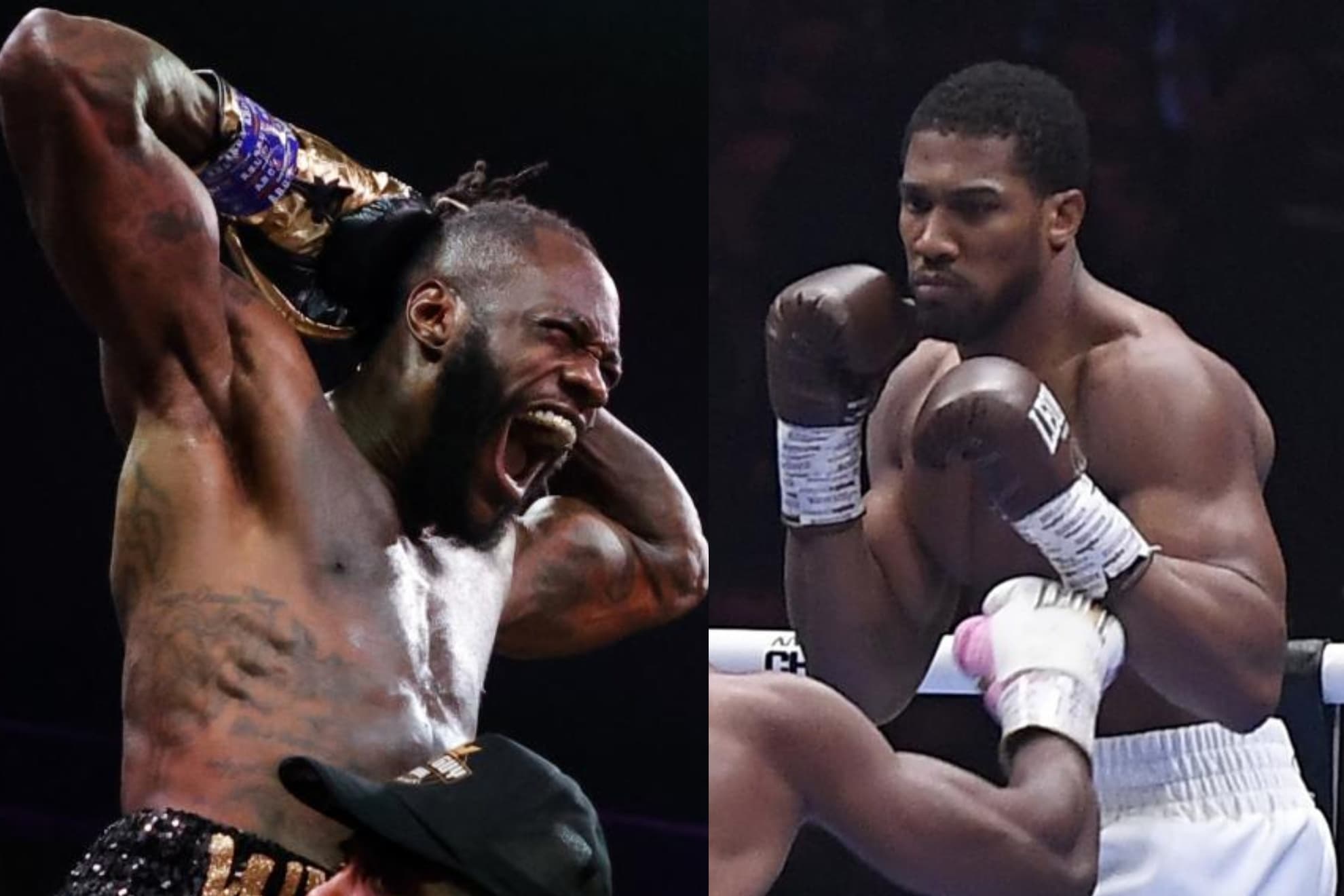 Deontay Wilder y Joshua