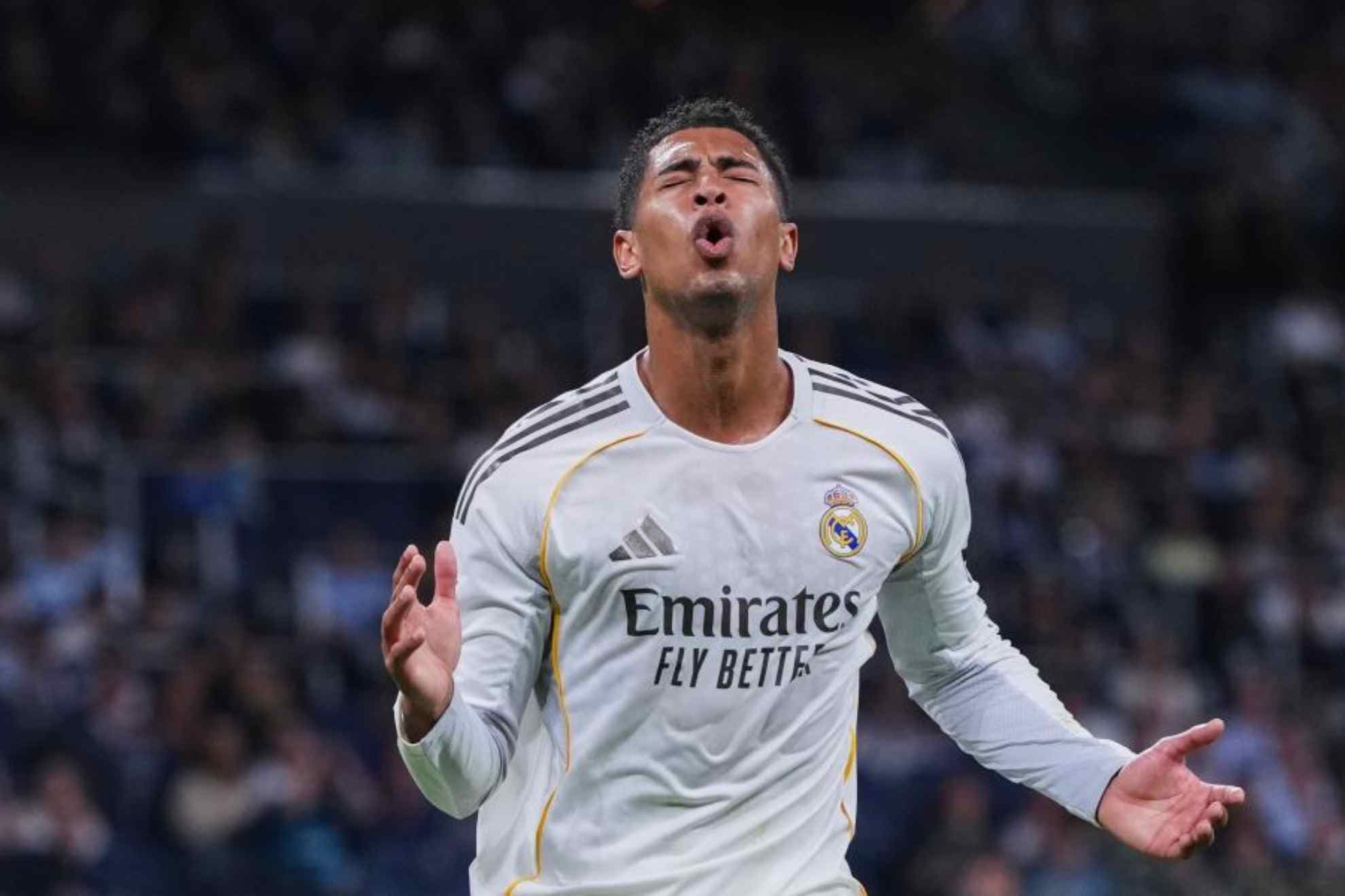 10 04 21 34 177501403 (1)