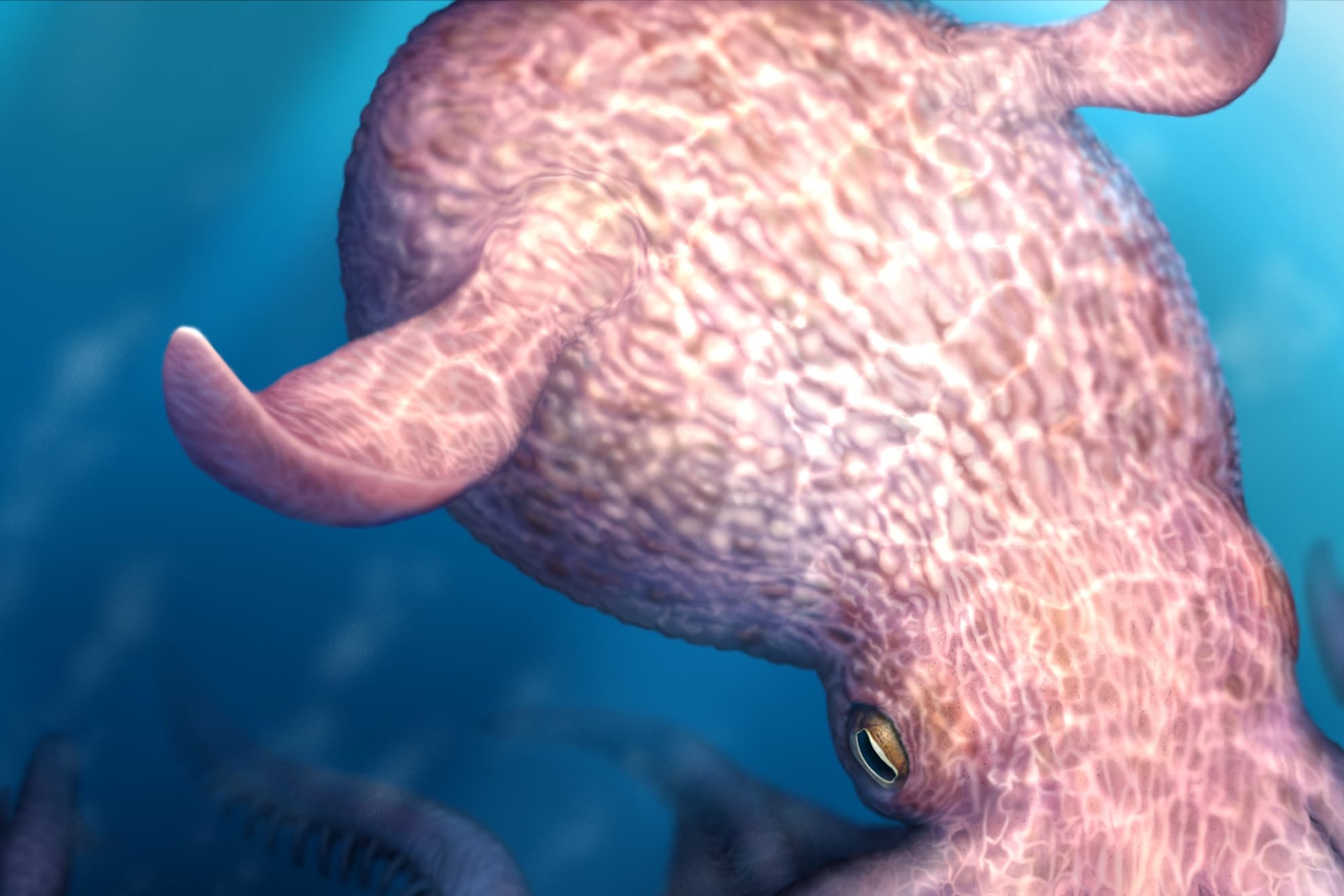 Ilustración del pulpo gigante del Cretácico.