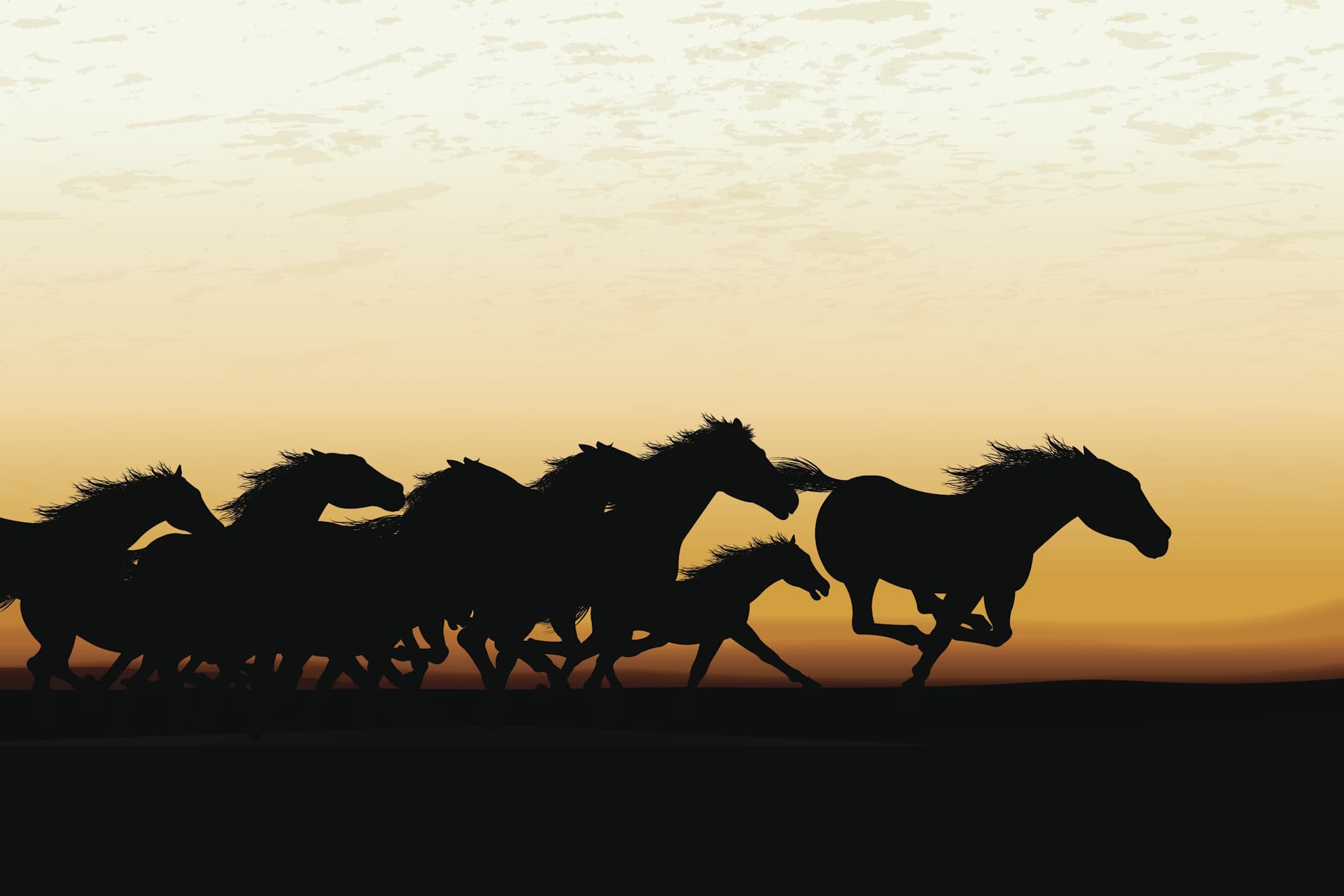 Estampida de caballos salvajes.