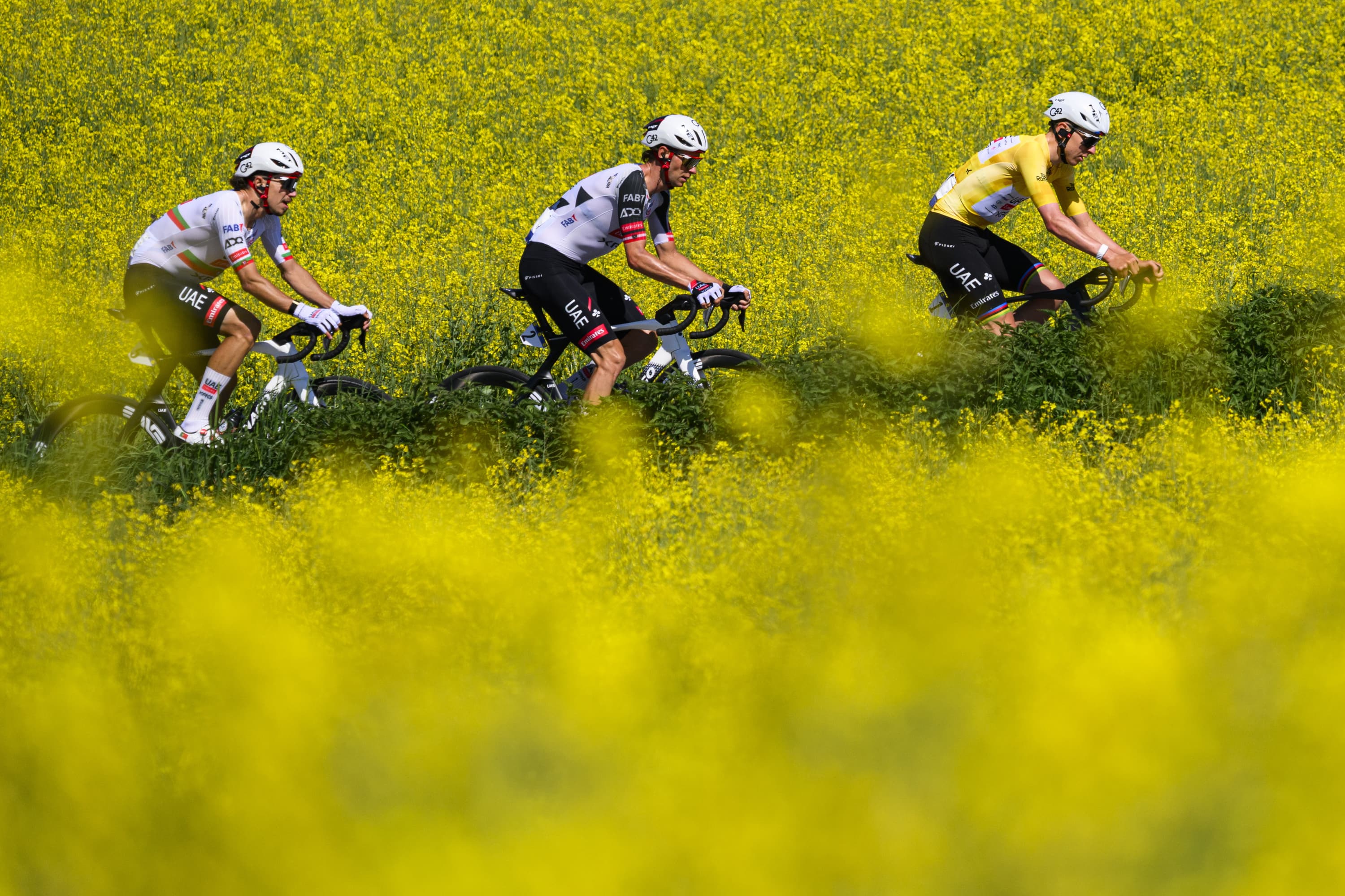 Tadej Pogacar, de amarillo.