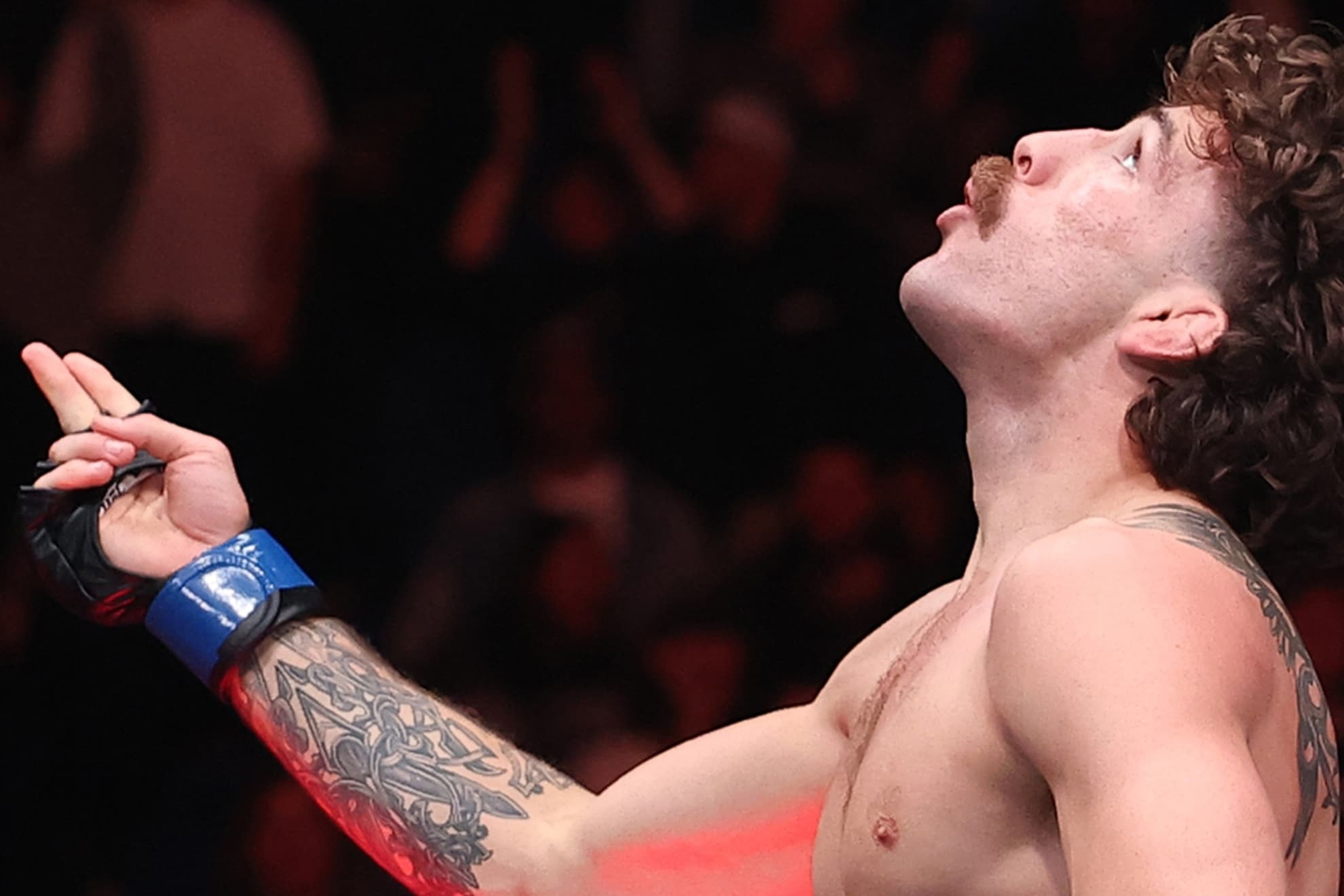 Quillan Saliklld tras noquear a Beneil Dariush.