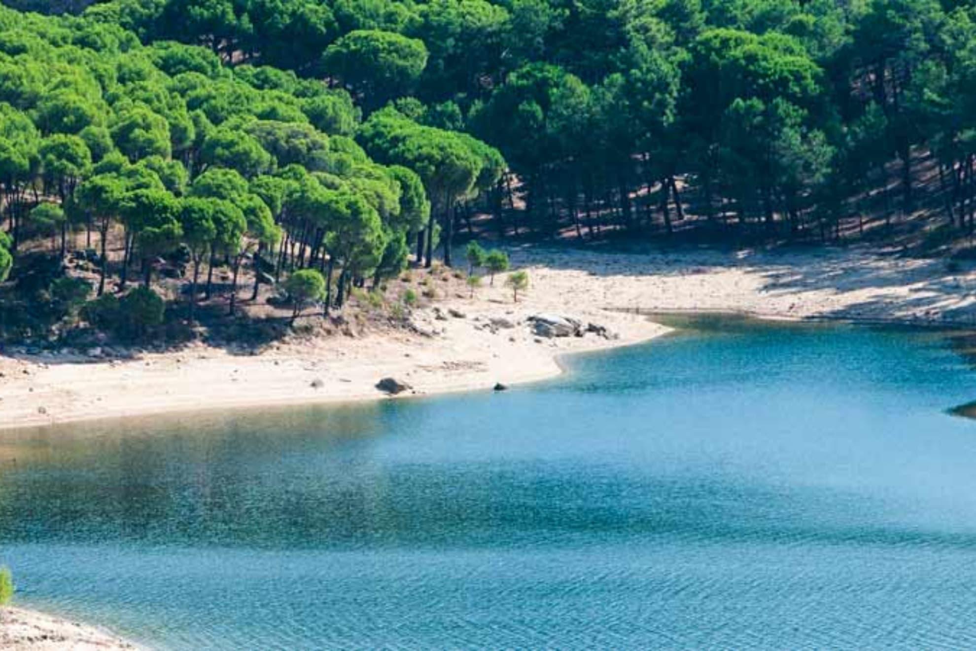 La Playa del Alberche se trata de uno de los pocos lugares cerca de Madrid donde los perros pueden bañarse