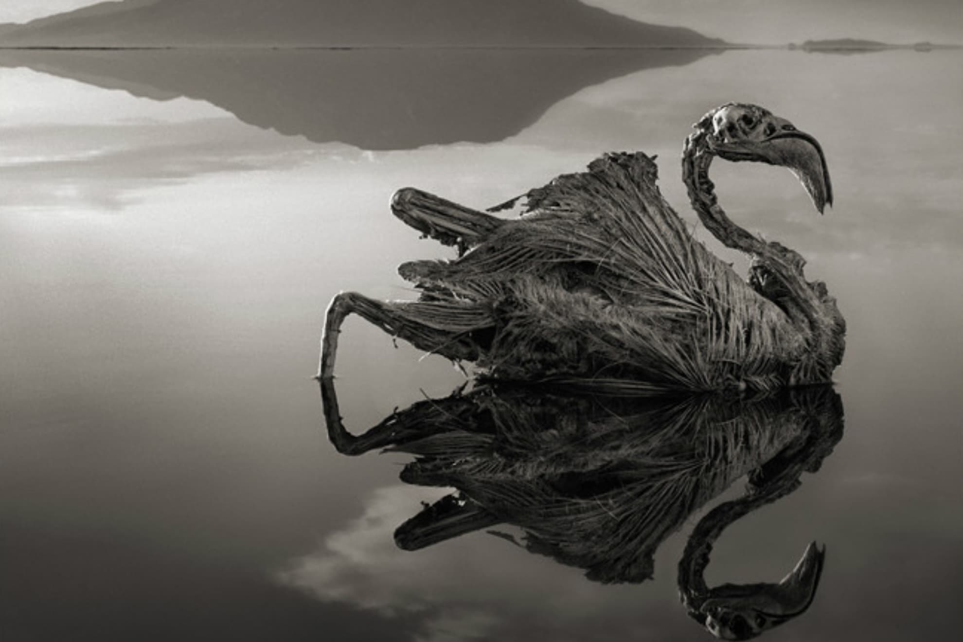 Lago Natron
