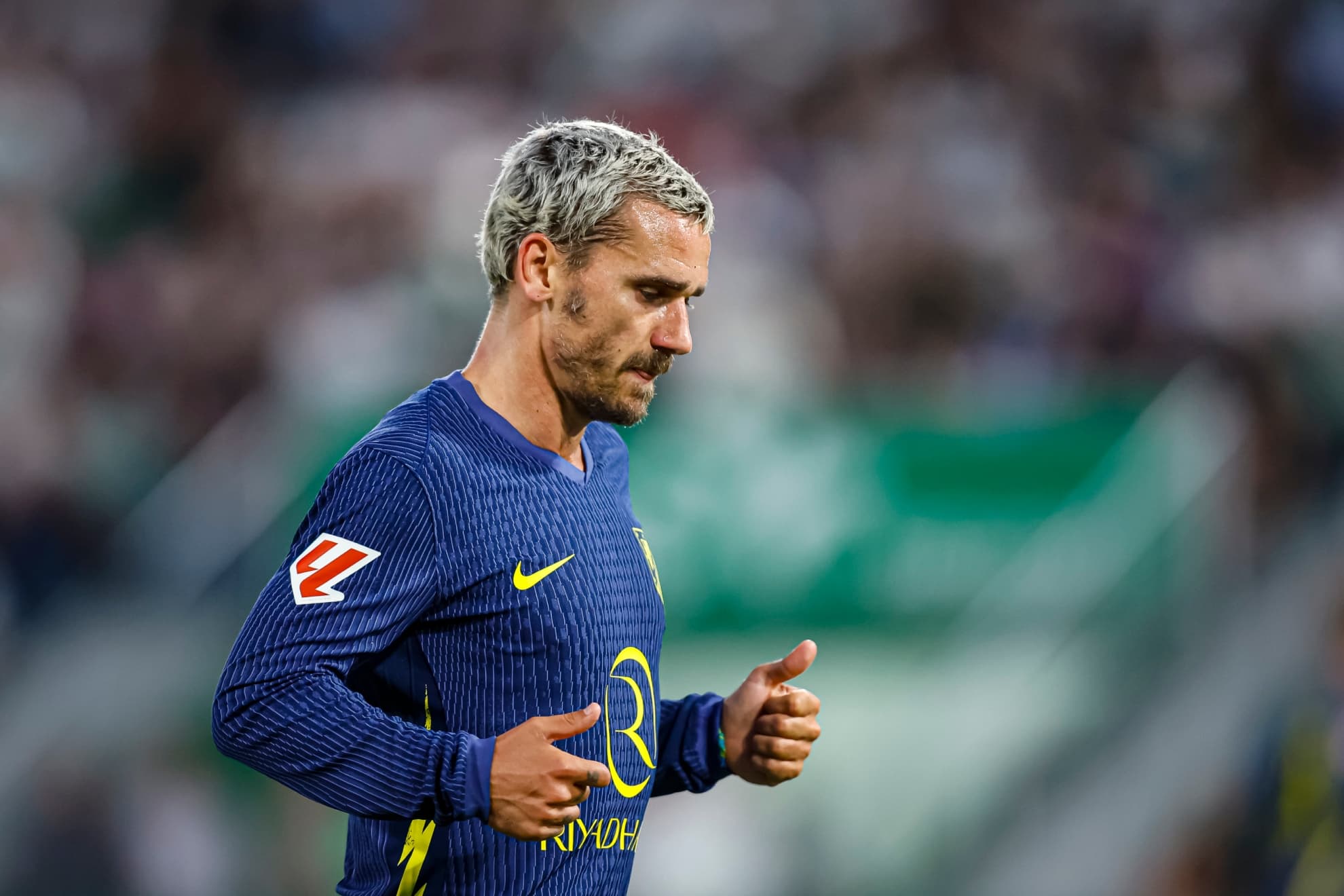 Grizi