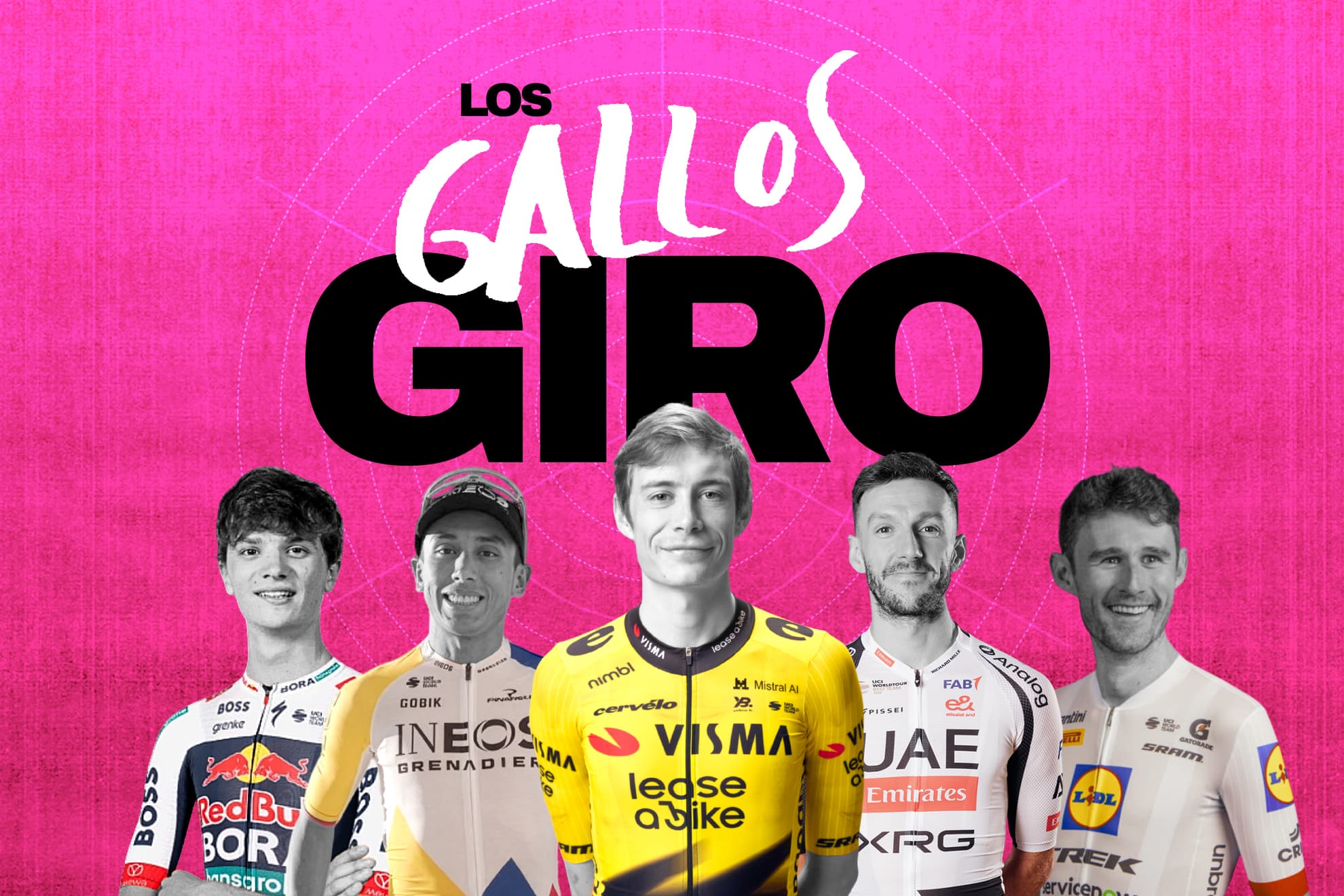 Los gallos del Giro.