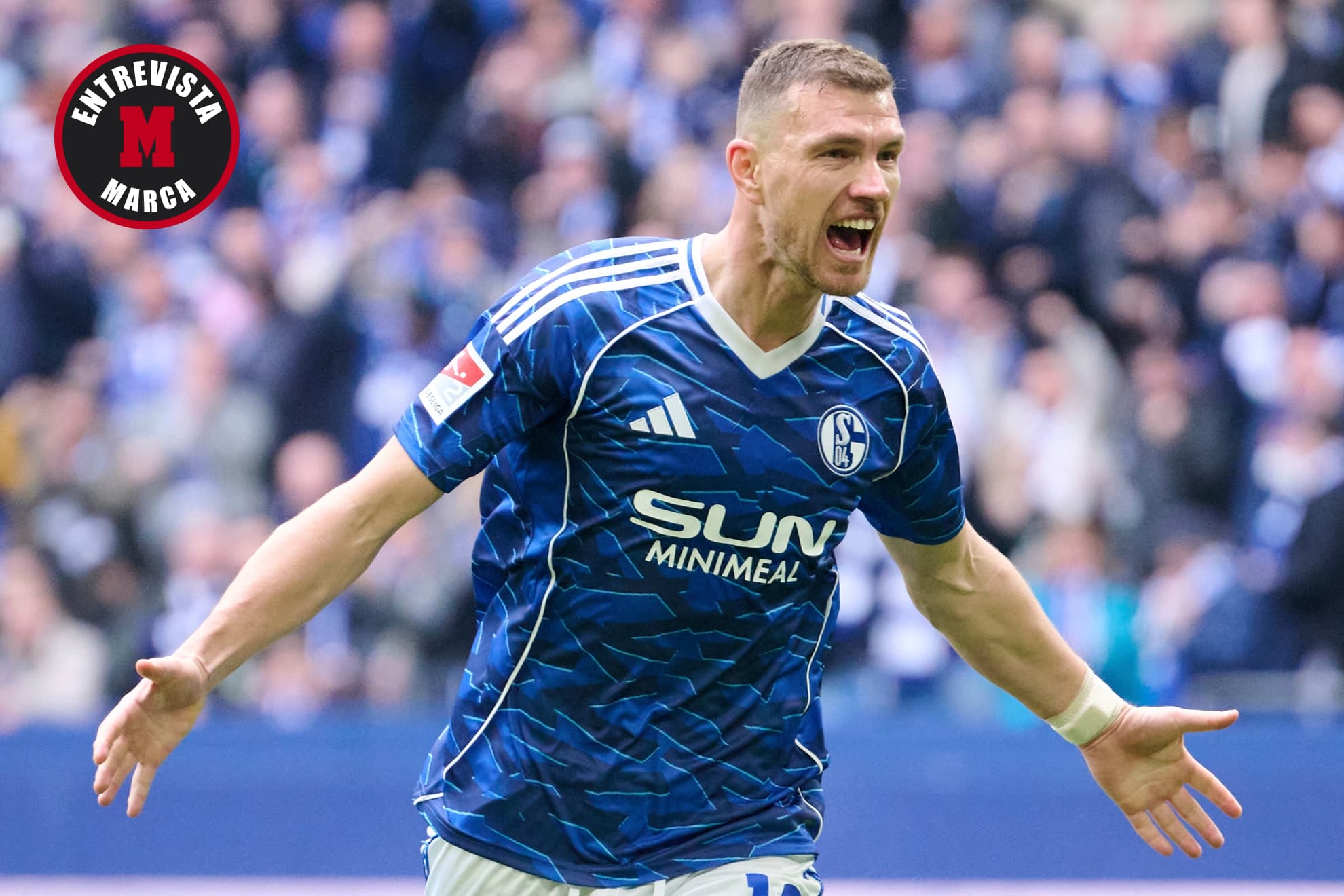 Edin Dzeko celebra un gol con el Schalke 04.