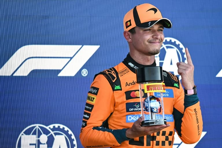 Norris on sprint pole as McLaren shine again