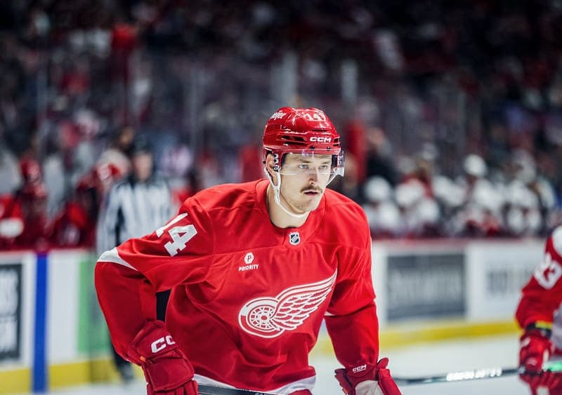 Red Wings Farmhand Playing For Present, Future