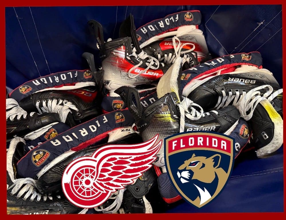 Final Panthers GameDay v Red Wings: How to Watch, Stream; Lines, Odds, Goalies