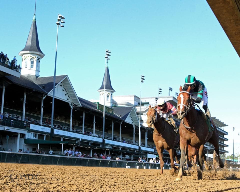 A Simple Guide To Betting The Kentucky Derby