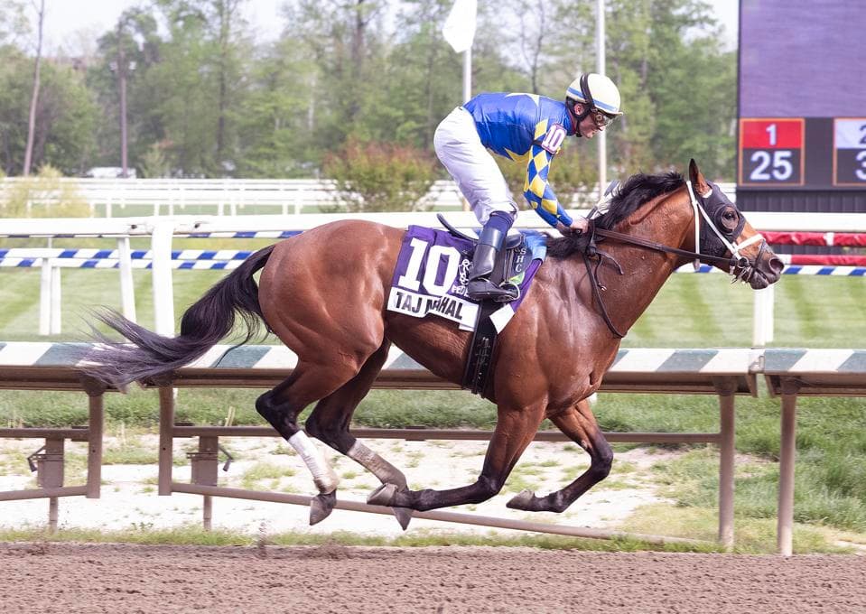 How To Watch The 2026 Preakness Stakes On TV And Streaming