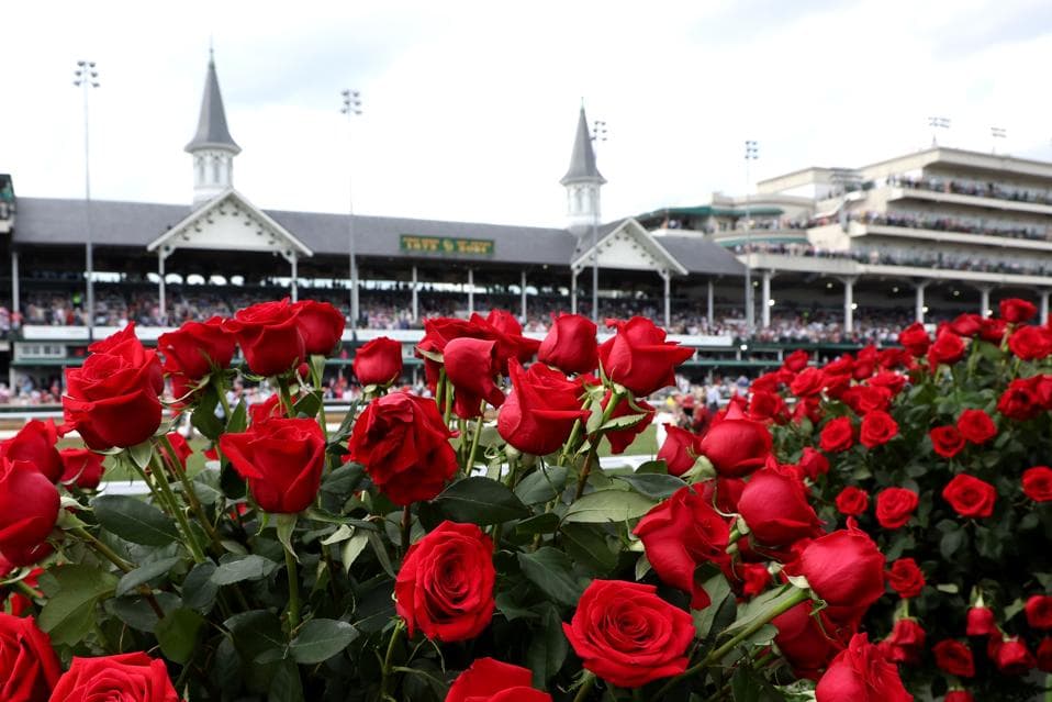 The Genetics And Pedigree Behind Kentucky Derby Winners
