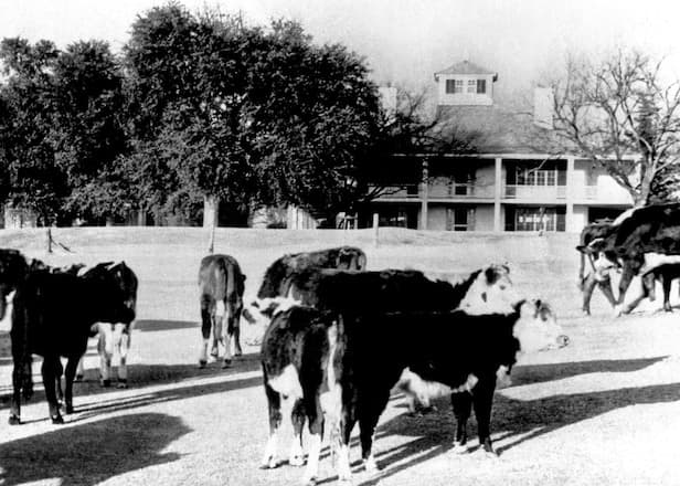 Masters 2026: Are these 9 famous Augusta National myths real or urban legends?