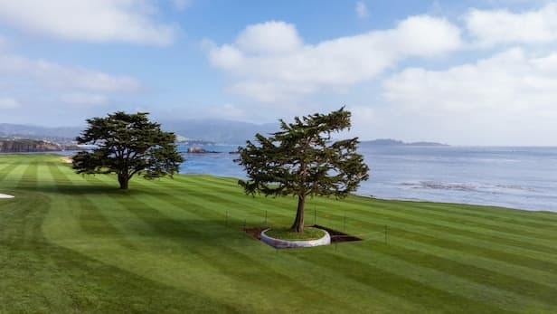 Second cypress tree planted in fairway of Pebble Beach’s 18th hole