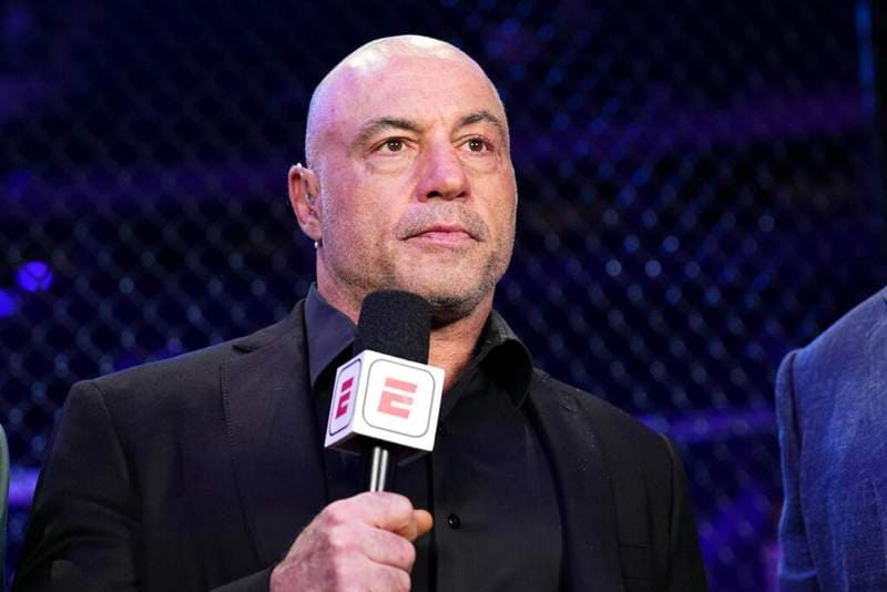 Joe Rogan reveals the UFC fighter he thinks is turning heads in Real American Freestyle
