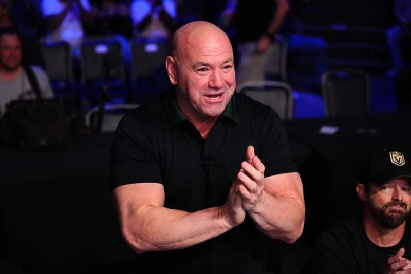 Dana White confirms Fury vs Joshua Netflix super fight role