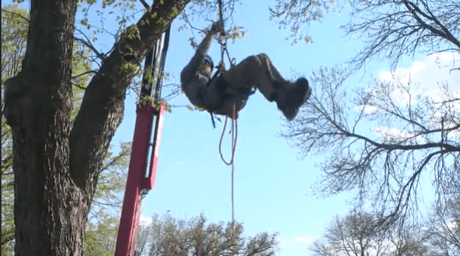 Climbers ready to take competition to new heights