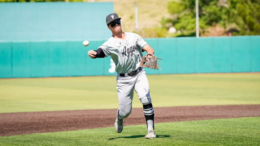 NM State baseball falls 12-6 to rival New Mexico, now on 8-game skid