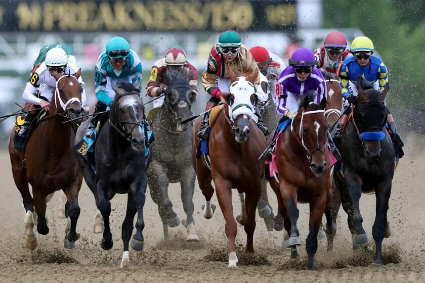Preakness draw: Brittany Russell eyes 'Triple Crown' for woman trainers with Taj Mahal