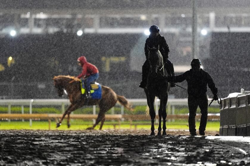 Silent Tactic scratched from Kentucky Derby, moving Great White into field
