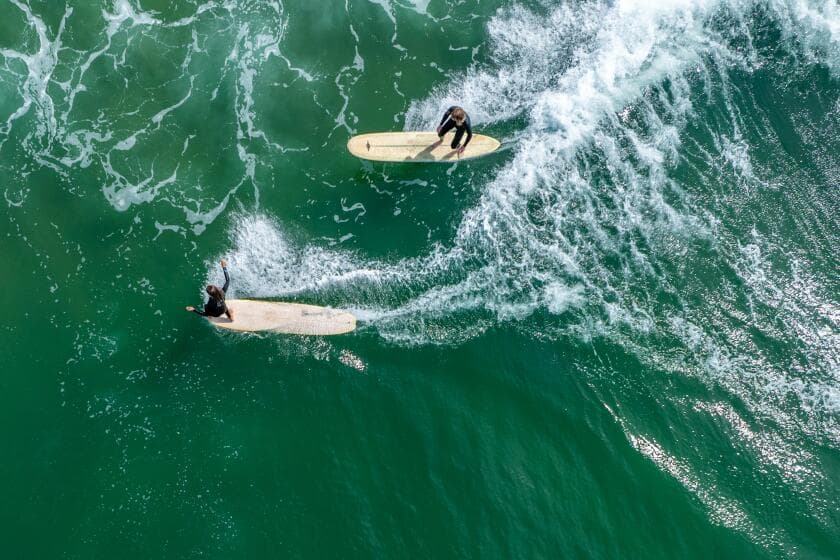 Aggressive 10-foot shark postpones world surf competition in Huntington Beach