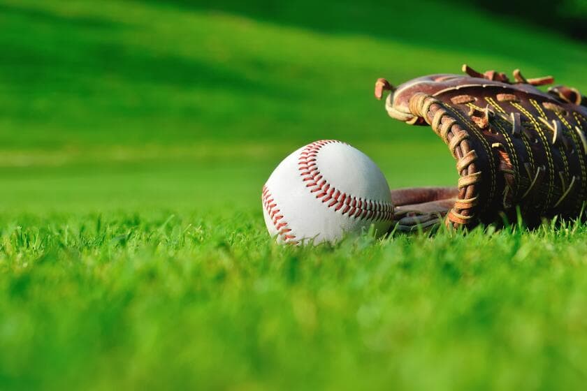 High school baseball and softball: Wednesday's scores