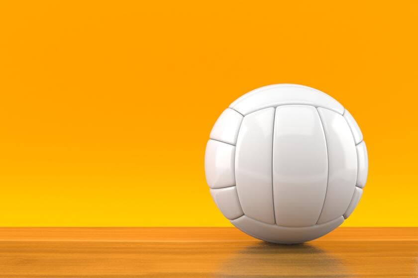High school boys' volleyball: Playoff scores and schedule