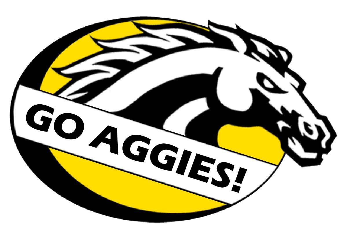 Prep roundup: Dansville, Lansing Catholic, Eaton Rapids record sweeps