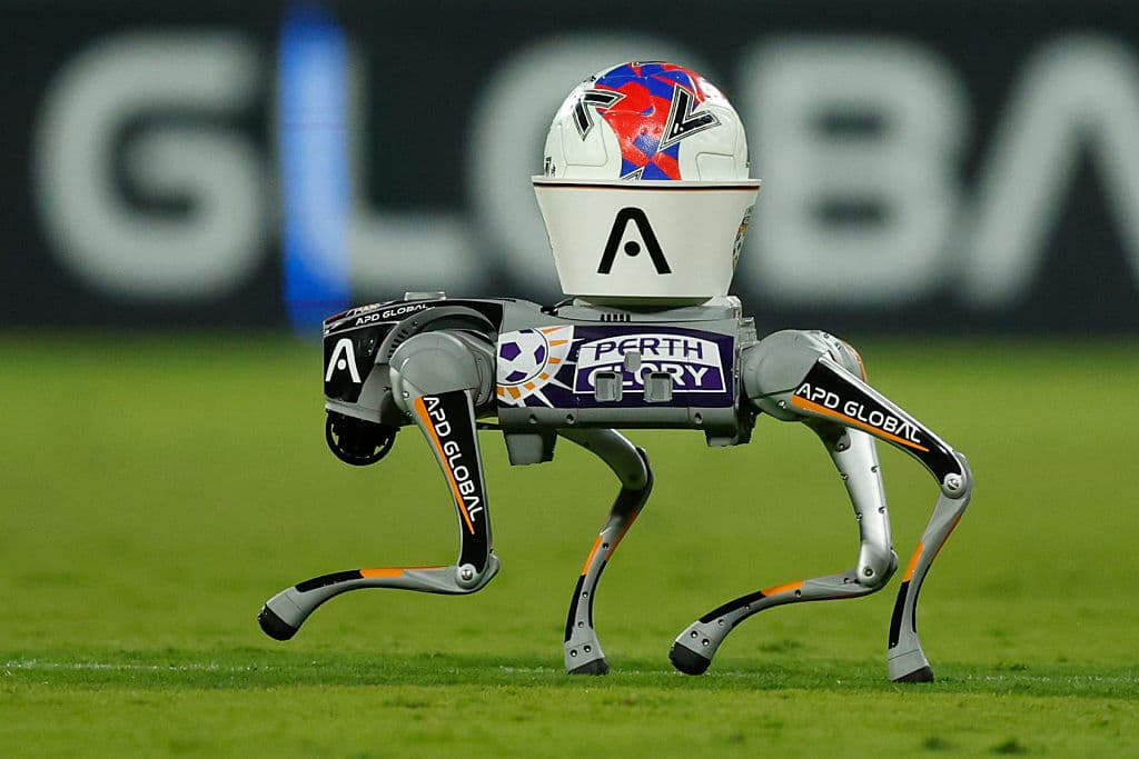 📺 Sunday agenda (26): big games in Brazil and plenty of European football