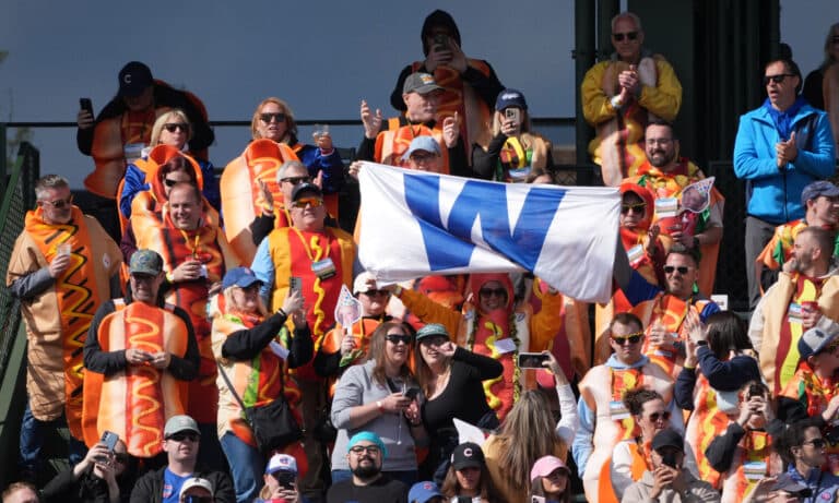Cubs fans in hot-dog costumes infiltrate bleachers at Wrigley Field