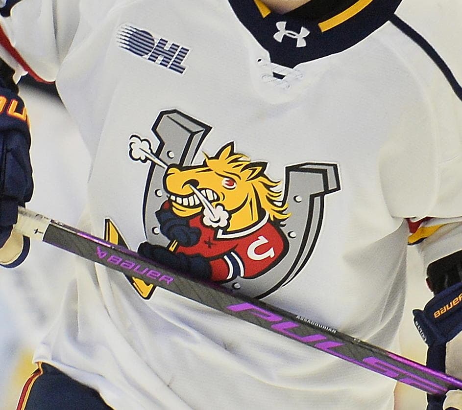 Barrie Colts Fined $15,000 After Controversial Post-Game Press Conference