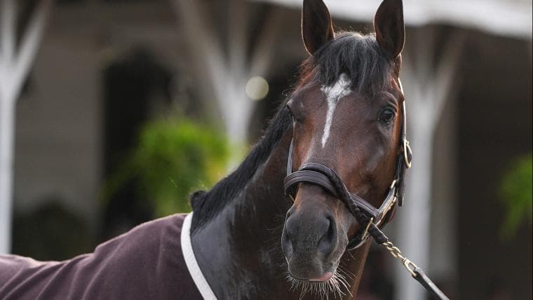 How much did Golden Tempo win at Kentucky Derby? Full payout breakdown for jockey, owner of 2026 winning horse
