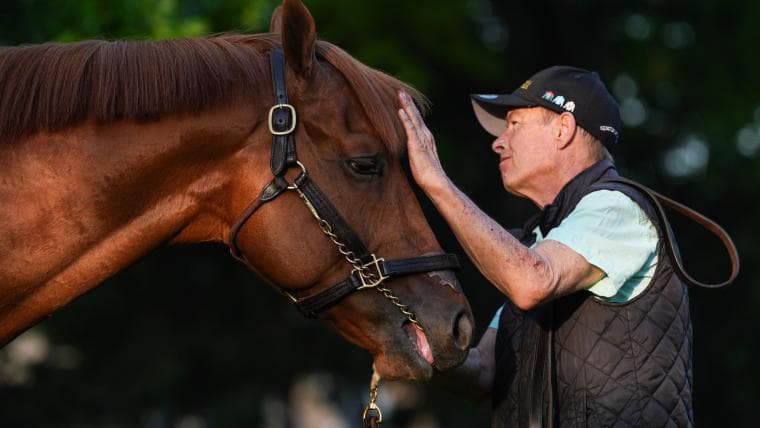 The Puma pedigree for Kentucky Derby includes $220 million Tapit sire success