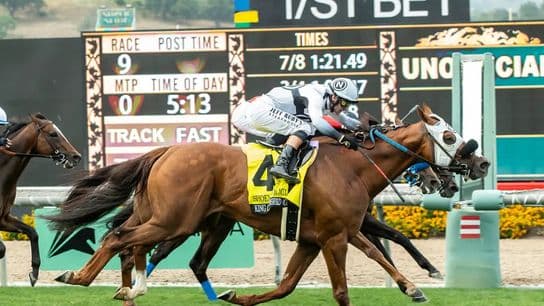 Santa Anita Saturday: King of Gosford returns in American Stakes