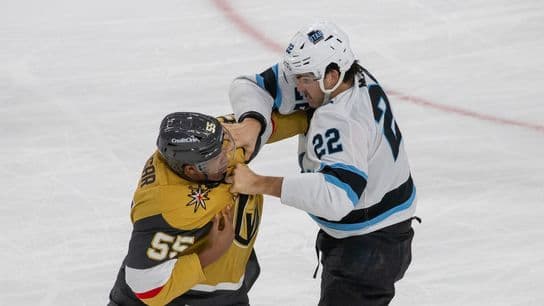 VGKnow Your Enemy: Utah Mammoth