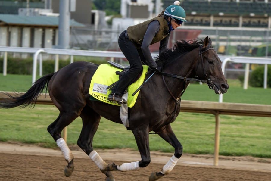 Three Derby runners return for Saturday's wide-open Preakness Stakes