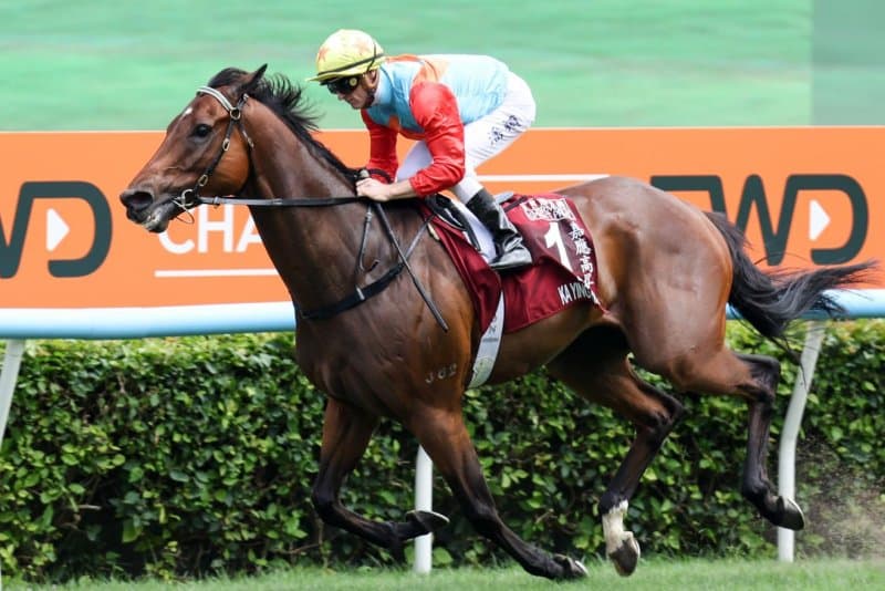 With Kentucky Derby near, international races highlight weekend racing