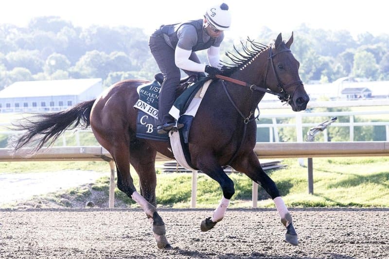 Field for Saturday's Preakness Stakes came together in unusual ways
