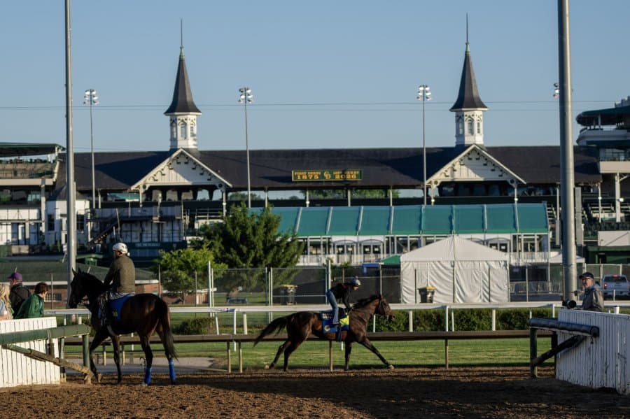 Meet the 20 horses racing in Saturday's Kentucky Derby