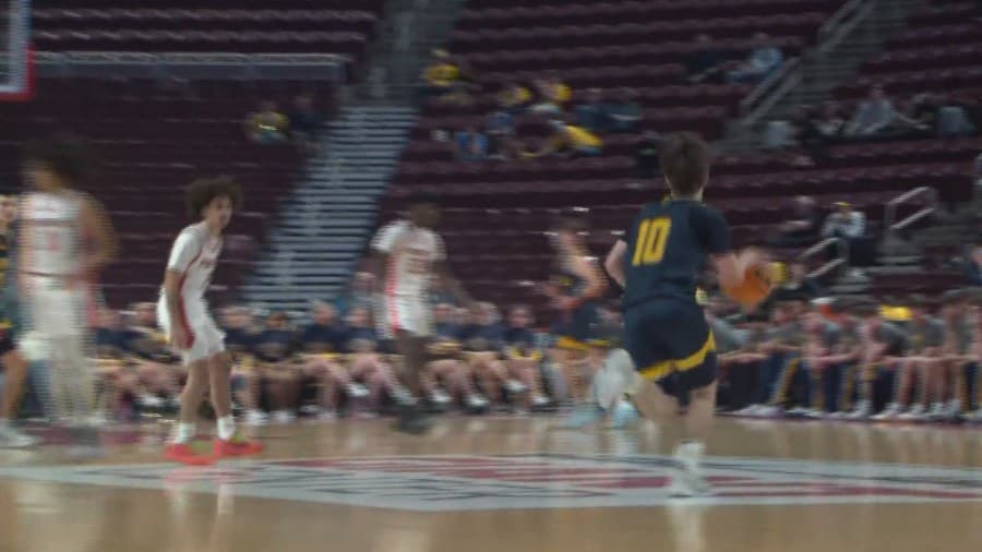 PIAA rule change passes state house