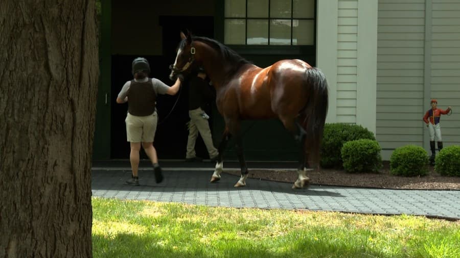 Fayette County farm eyes another Kentucky Derby win: What it takes