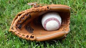 2 Ohio high school baseball coaches resign at ‘incident’ in South Carolina
