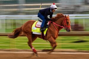 Kentucky Derby is down to 19 horses after The Puma gets scratched